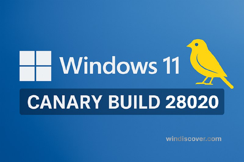 Canary 分支 Windows 11 Build 28020.1611（KB5077221）开始推送 - WinDiscover