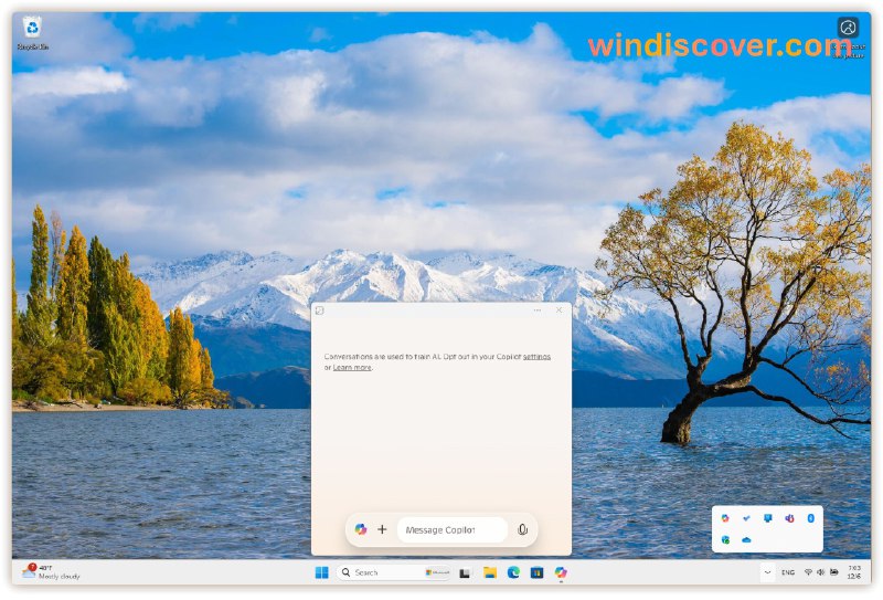 微软向 Windows Insider 推送 Copilot for Windows 原生应用 - WinDiscover
