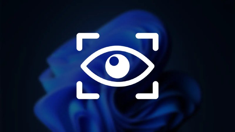 Windscribe 发布开源工具 deGDID 可禁用 Windows 11 的隐藏设备追踪标识符 - WinDiscover