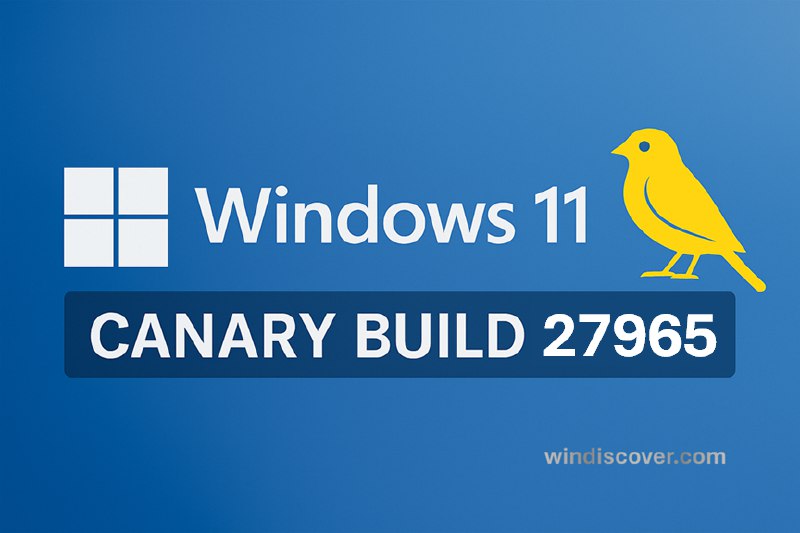 Canary 分支 Windows 11 Build 27965 - WinDiscover