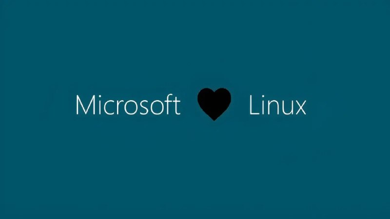 微软与 CISA 警告 Linux 内核高危漏洞 云环境面临提权风险 - WinDiscover