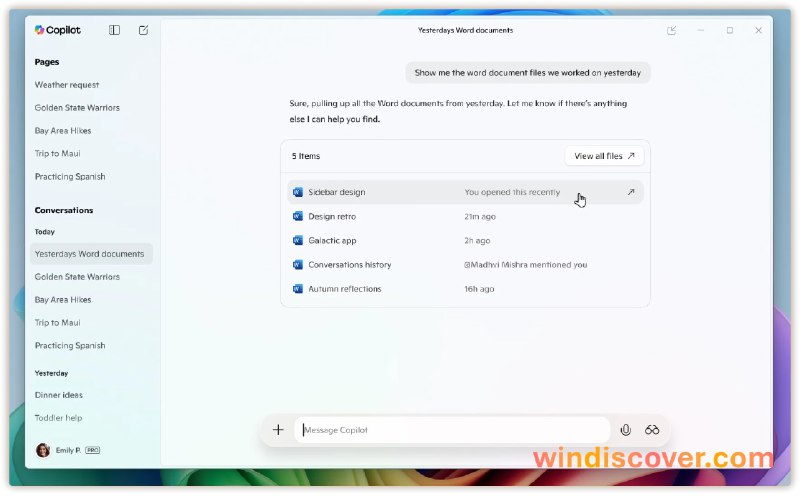 Copilot for Windows 应用开始支持“文件搜索”和“Copilot 视觉”体验 - WinDiscover