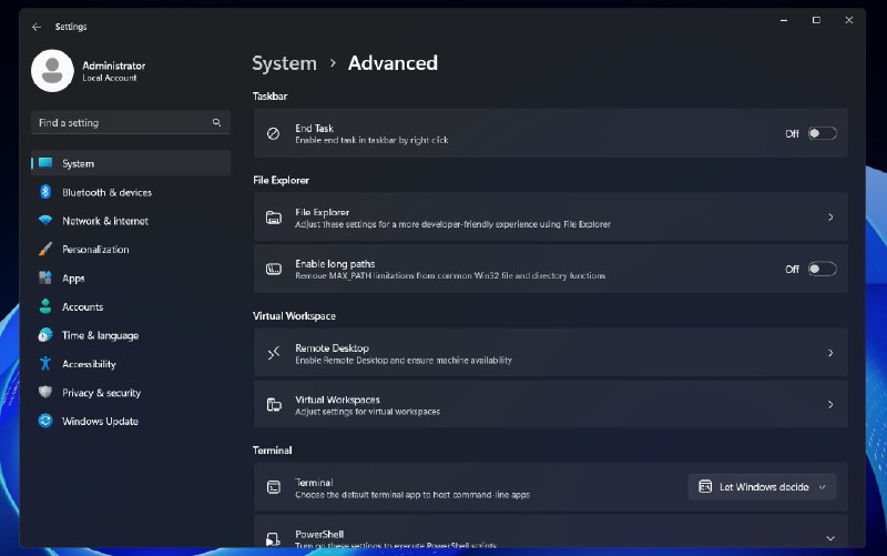 Windows 11 “开发者”设置页面将更名为“高级”，并新增一些新功能 - WinDiscover