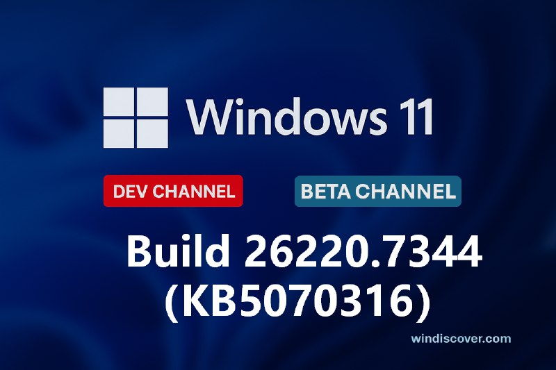 Dev & Beta 分支开始推送 Windows 11 Build 26220.7344（KB5070316） - WinDiscover