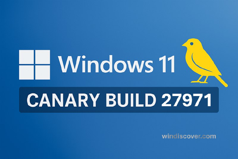 Canary 分支 Windows 11 Build 27971 - WinDiscover