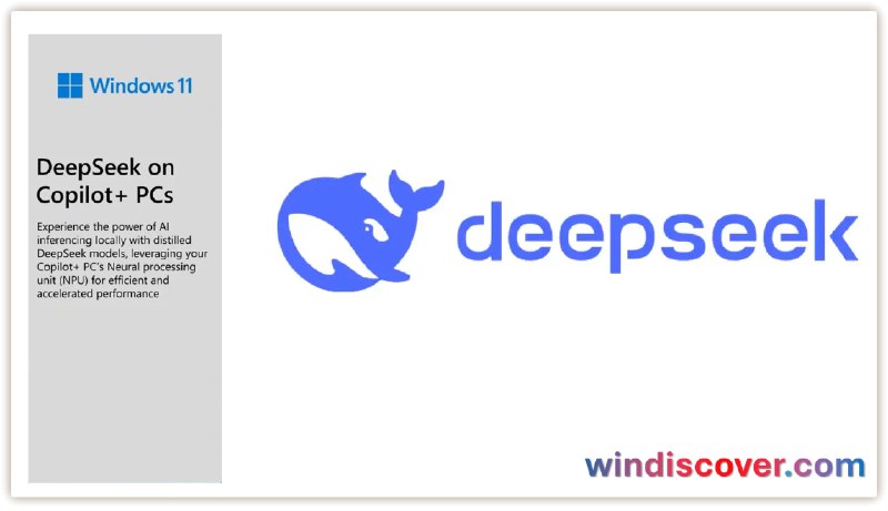 Copilot+ PC 开始支持 DeepSeek R1 7B & 14B 模型 - WinDiscover