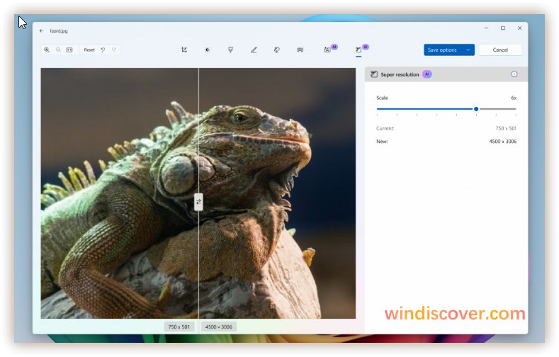 照片应用超级分辨率及 OCR 功能开始向 Windows Insider 用户推送 - WinDiscover