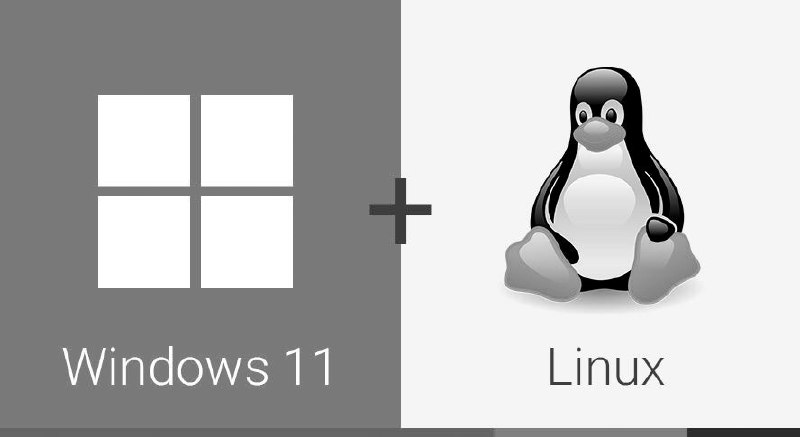 时隔九个月，微软终于修复双系统设备的 Linux 系统启动故障问题 - WinDiscover