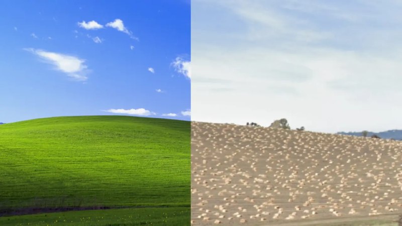 Windows XP Bliss 壁纸拍摄地 30 年变迁：从经典绿丘到葡萄园轮回 - WinDiscover