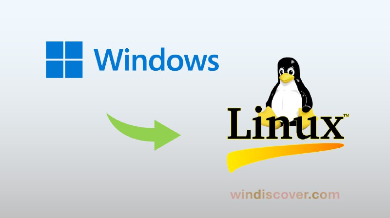 法国里昂市政府决定弃用 Windows 和 Office - WinDiscover